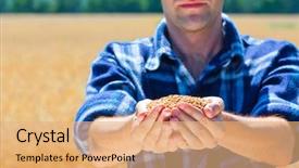  Presentation with wheat - Cool new presentation theme with agriculteur - happy farmer holding ripe wheat backdrop and a coral colored foreground