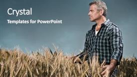  Presentation with wheat - Beautiful slide deck featuring agriculteur - mature farmer looking with satisfaction backdrop and a ocean colored foreground