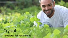  Presentation with seeds farmer - Cool new PPT theme with agriculteur - portrait of a farmer backdrop and a yellow colored foreground