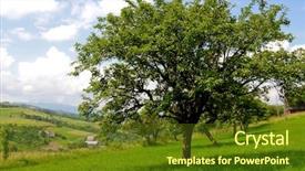  Presentation with apple tree golden - Amazing presentation theme having agricultre - apple tree in country landsape backdrop and a tawny brown colored foreground