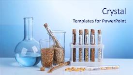  Presentation with glassware - Colorful slide set enhanced with agricultural chemistry - cereals in laboratory glassware backdrop and a sky blue colored foreground