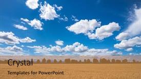  Presentation with agriculture field - Beautiful slides featuring agricultural economics - barley field in agriculture backdrop and a coral colored foreground