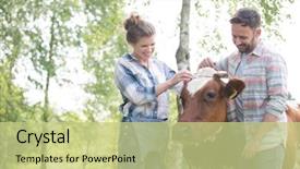  Presentation with female - Amazing slides having agricultural economics - female and male farmers checking backdrop and a mint green colored foreground