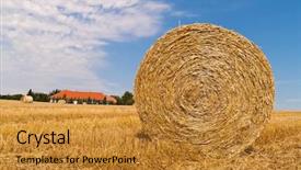  Presentation with agriculture field - Cool new presentation theme with agricultural economics - field with straw bales backdrop and a  colored foreground