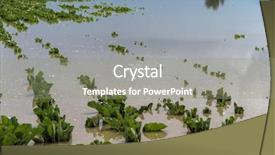  Presentation with agricultural economics - Audience pleasing PPT theme consisting of agricultural economics - flooded plants in a field backdrop and a gray colored foreground