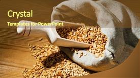  Presentation with agricultural economics - PPT layouts enhanced with agricultural economics - grains of oats background and a tawny brown colored foreground