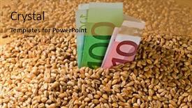  Presentation with agriculture corn - Presentation theme having agricultural economics - grains of wheat yields background and a gold colored foreground