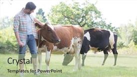  Presentation with small farm - PPT theme having agricultural economics - male farmer checking on his background and a mint green colored foreground