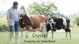  Presentation with shellfish farm - PPT layouts consisting of agricultural economics - male farmer checking on his background and a mint green colored foreground