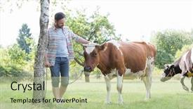  Presentation with farm - Slide deck consisting of agricultural economics - male farmer checking on his background and a mint green colored foreground