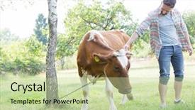  Presentation with farm - Beautiful theme featuring agricultural economics - male farmer checking on his backdrop and a mint green colored foreground