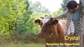  Presentation with farm quilt - PPT layouts with agricultural economics - male farmer checking on his background and a tawny brown colored foreground