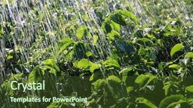  Presentation with agricultural economics - Presentation design having agricultural economics - rain waters on the field background and a tawny brown colored foreground