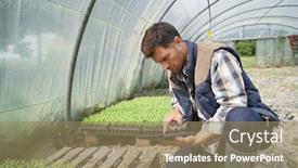  Presentation with greenhouse - Beautiful PPT theme featuring engineering - agricultural engineer in greenhouse checking backdrop and a coral colored foreground