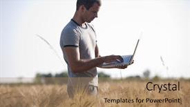  Presentation with agronomist - Colorful PPT theme enhanced with bacteria - cyber sickness - abstract illustration backdrop and a wine colored foreground.