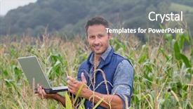  Presentation with agronomist - Presentation theme consisting of agricultural engineering - agronomist analyzing cereals with laptop background and a gray colored foreground