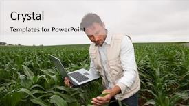  Presentation with agricultural - Audience pleasing PPT theme consisting of agricultural engineering - agronomist analyzing cereals with laptop backdrop and a light gray colored foreground