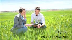  Presentation with agronomist - PPT theme enhanced with agricultural engineering - agronomist looking at wheat quality background and a yellow colored foreground