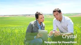  Presentation with agronomist - Audience pleasing slide set consisting of agricultural engineering - agronomist looking at wheat quality backdrop and a tawny brown colored foreground