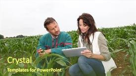  Presentation with agricultural - Colorful PPT layouts enhanced with agricultural engineering - farmer and researcher analysing corn backdrop and a tawny brown colored foreground