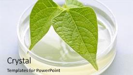  Presentation with agricultural engineering - PPT layouts featuring agricultural engineering - genetically modified plant tested background and a soft green colored foreground