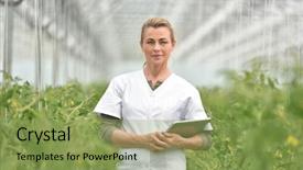  Presentation with agronomist - Presentation theme having agricultural engineering - portrait of agronomist standing background and a yellow colored foreground