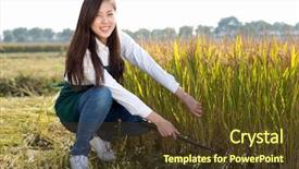  Presentation with woman engineer - Presentation design enhanced with agricultural engineering - pretty chinese woman agriculture engineer background and a tawny brown colored foreground
