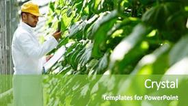  Presentation with agricultural engineering - Beautiful PPT theme featuring agricultural engineering - profile view of talented young backdrop and a seafoam green colored foreground