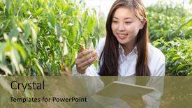  Presentation with agronomist - PPT theme consisting of agricultural engineering - young pretty chinese woman agronomist background and a tawny brown colored foreground