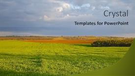  Presentation with agricultural - PPT theme featuring agricultural-field-in-late-sunlight background and a light blue colored foreground