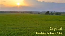  Presentation with agricultural - Audience pleasing PPT layouts consisting of agricultural-field-in-late-sunlight backdrop and a tawny brown colored foreground