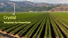  Presentation with agriculture field - Slides featuring agricultural field on a sunny background and a tawny brown colored foreground