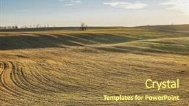  Presentation with plants growing - Presentation theme consisting of agricultural field plowed plants growing background and a tawny brown colored foreground