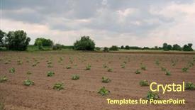  Presentation with agricultural - Beautiful presentation design featuring agricultural field with brown soil backdrop and a  colored foreground