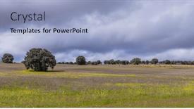  Presentation with oak - Slides enhanced with agricultural-field-with-cork-oak background and a light blue colored foreground