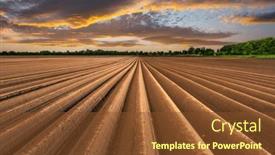  Presentation with agricultural - PPT theme having agricultural-field-with-even-rows background and a tawny brown colored foreground