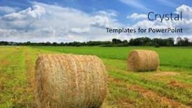  Presentation with hay field - PPT theme with agricultural field with hay rolls at summer time background and a light blue colored foreground