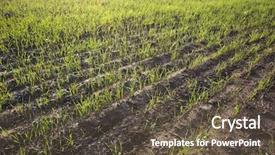  Presentation with agricultural - Slide set featuring agricultural field with rows background and a tawny brown colored foreground