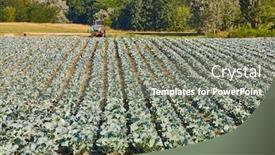  Presentation with seed germination agriculture growing plants - Beautiful presentation theme featuring agricultural-field-with-rows backdrop and a gray colored foreground