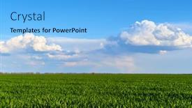  Presentation with agricultural - Amazing presentation design having agricultural-field-with-young-sprouts backdrop and a light blue colored foreground