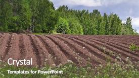  Presentation with agricultural - Theme enhanced with agricultural fields landscape background background and a violet colored foreground