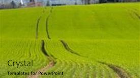  Presentation with agricultural - Amazing PPT theme having agricultural-filed-with-shallow-dof backdrop and a gold colored foreground