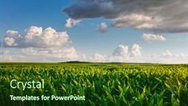  Presentation with corn fields - Presentation design with agricultural-land-of-a-green background and a tawny brown colored foreground