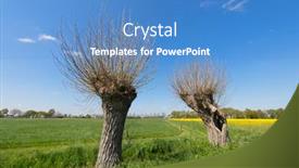  Presentation with agricultural - Audience pleasing PPT layouts consisting of agricultural-landscape-in-holland backdrop and a teal colored foreground