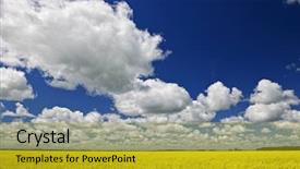  Presentation with manitoba - PPT theme consisting of rapeseed farm field in manitoba background and a gold colored foreground