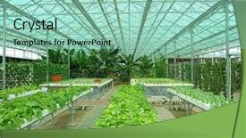  Presentation with hydroponic farm - Audience pleasing PPT theme consisting of agricultural marketing - hydroponic farm backdrop and a mint green colored foreground
