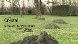  Presentation with meadow - PPT layouts consisting of agricultural pest - earth mound of a mole background and a yellow colored foreground