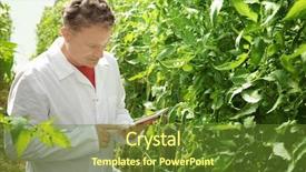  Presentation with greenhouse farm - Slide deck with agricultural pest - farmer with tablet in greenhouse background and a tawny brown colored foreground