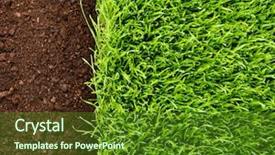  Presentation with grass texture on green - Amazing presentation theme having agricultural pest - green grass in soil backdrop and a tawny brown colored foreground