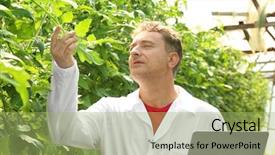  Presentation with pest - Colorful slide deck enhanced with agricultural pest - mature farmer using laptop backdrop and a mint green colored foreground